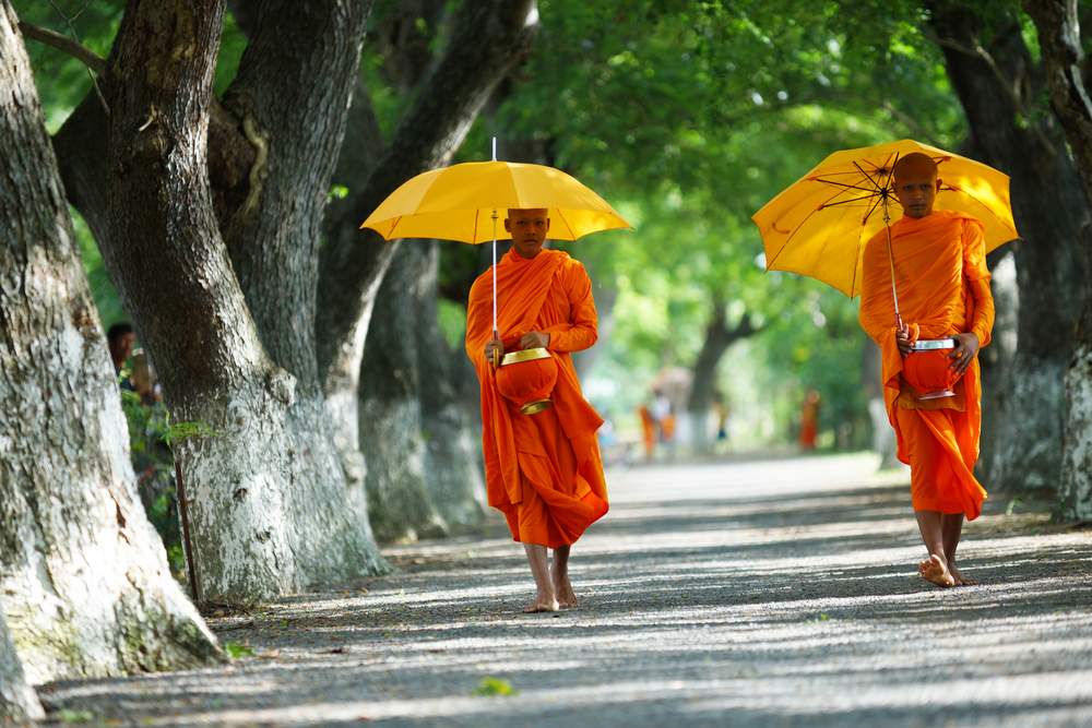 Young Buddhist monks, with their saffron robes and alms jars, are often seen on the streets of Vietnam.