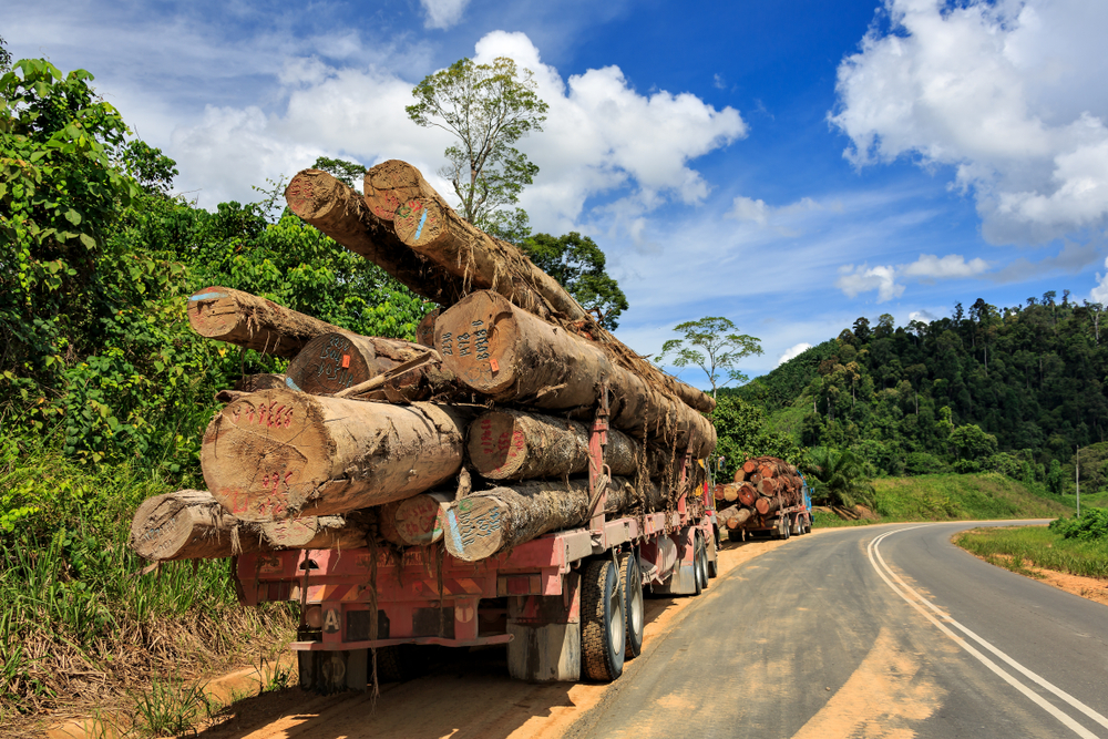 Spain's government  joined with 73 others to sign the International Tropical Timber Agreement in 2011.
