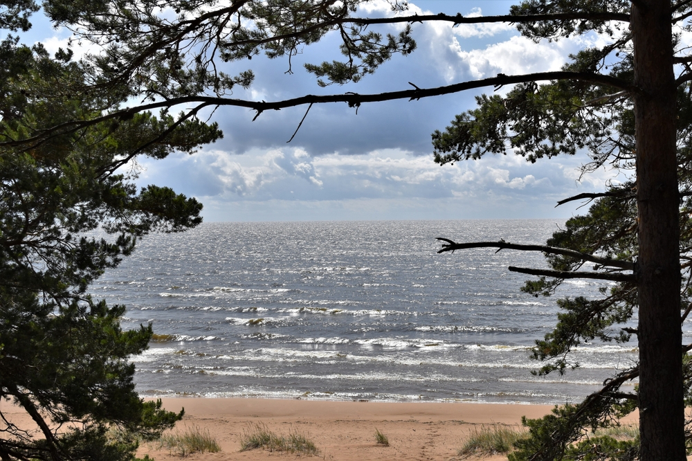 Lake Peipus has outflow to the Gulf of Finland via the Narva River.