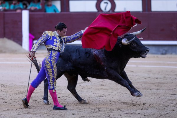 Bullfighting, an important traditional Spanish sport, is practiced in all major cities and quite a few smaller ones.