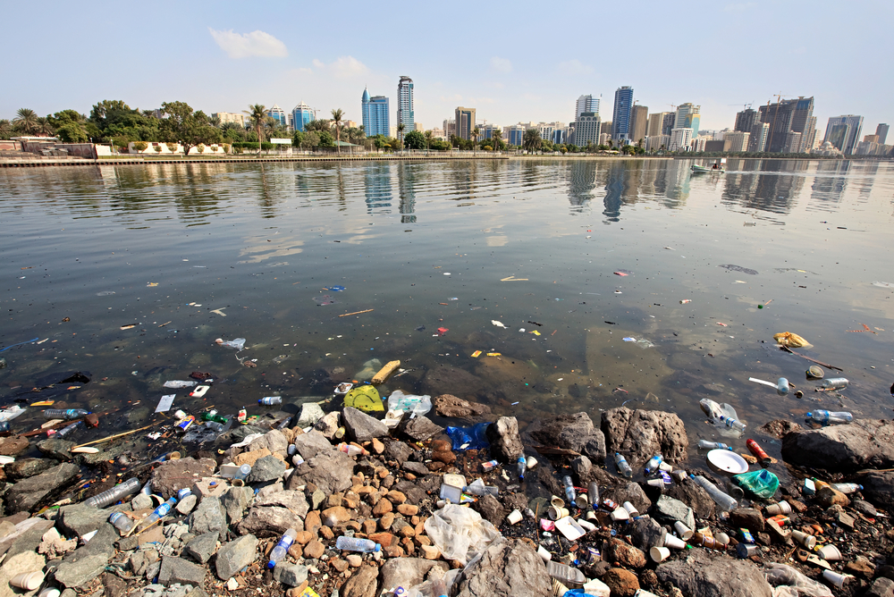 Coastal development in the UAE has led to increased pollution and erosion.