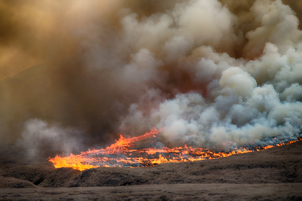 A prolonged heat wave and dry conditions led to a series of wildfires in 2019.