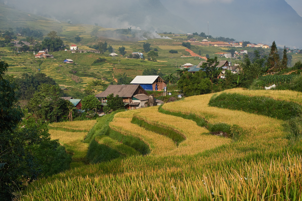 Smoke from burning rice grass contributes to the country's poor air quality.