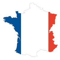 Flag of France in Country Shape #1