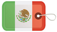 Flag of Mexico Luggage Tag