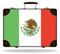 Flag of Mexico Suitcase
