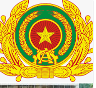 Vietnam People's Public Security Logo