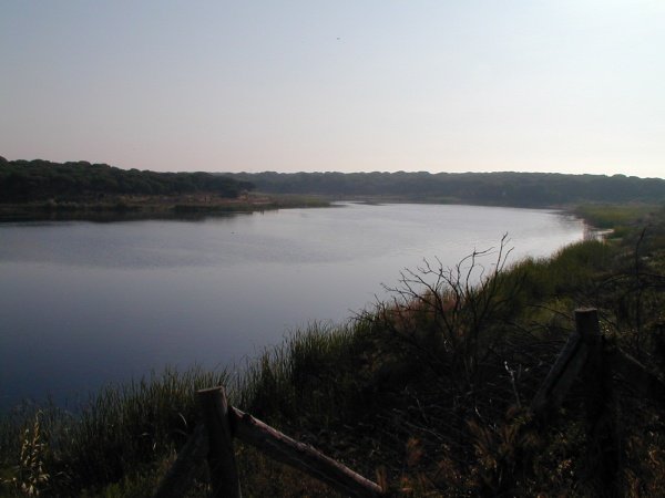 With its abundant wetlands, El Portil is a popular place for birdwatching.