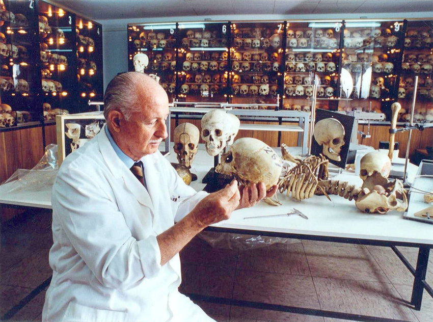 Professor Reverte Coma inspects a skull at Complutense University.