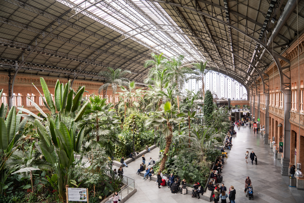 The former Atocha train station provides a place for travelers to rest while enjoying the greenery.