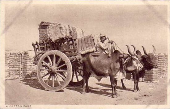 Bombay cotton cart