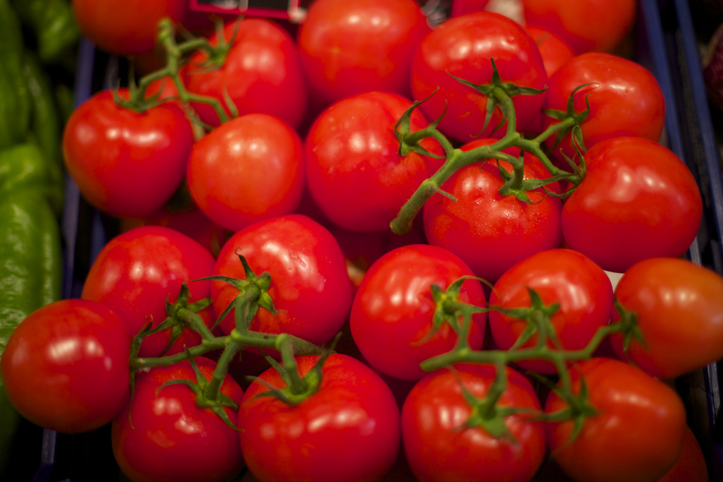 Tomatoes are among the foods brought to Spain from the New World.