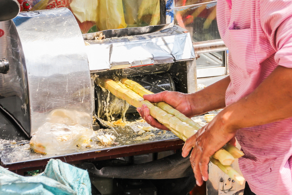 Sugarcane Is Juiced, and the Juice Is Fermented to Become Cachaça