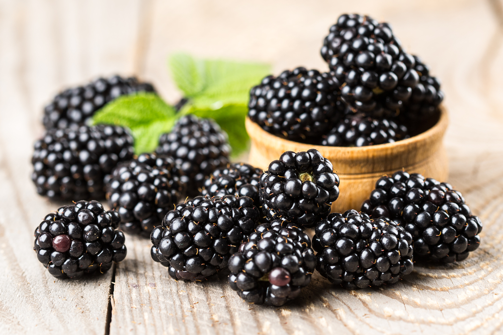 Blackberries Are Used to Make Blackberry Brandy