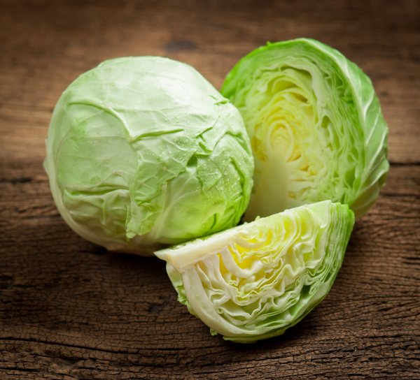 Cabbage