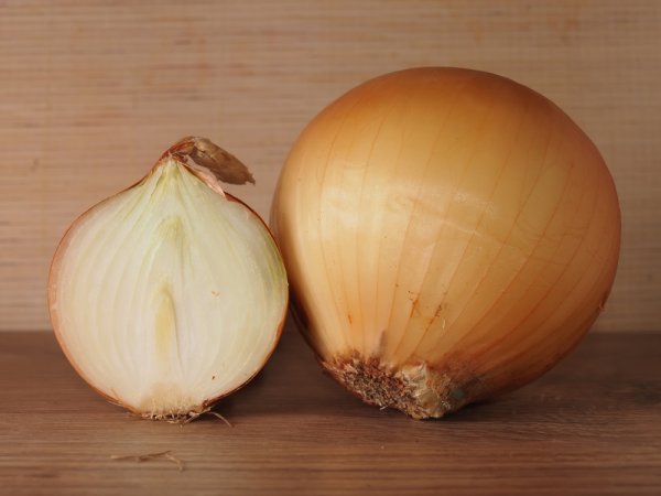 Onion