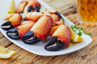 Steamed Stone Crab Claws