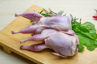 Slow-Cooked Quail