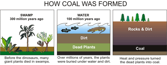 Three images showing how coal was formed.
