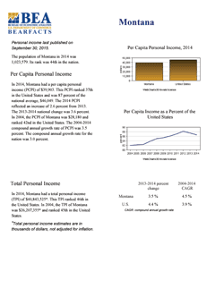 State Economic Account