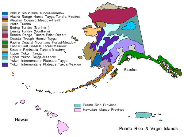 Non-contiguous United States Ecoregions Provinces