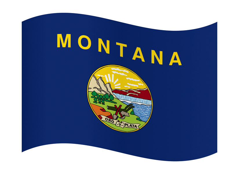 Waving Outline Flag of Montana