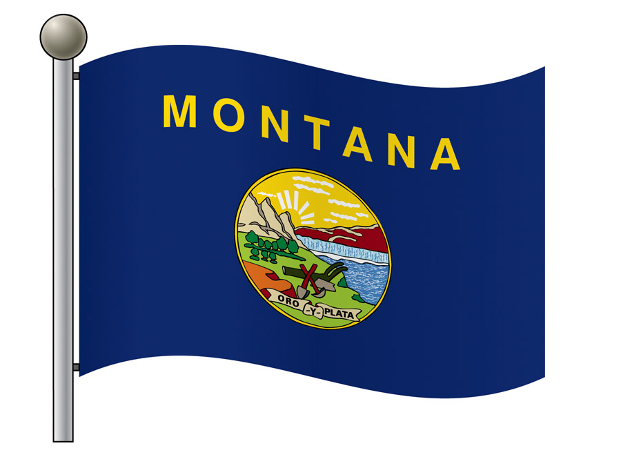 Waving Outline Flag of Montana on Flagpole