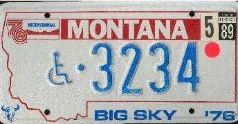 License Plate 2447