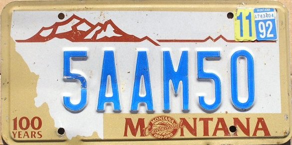 License Plate 2589