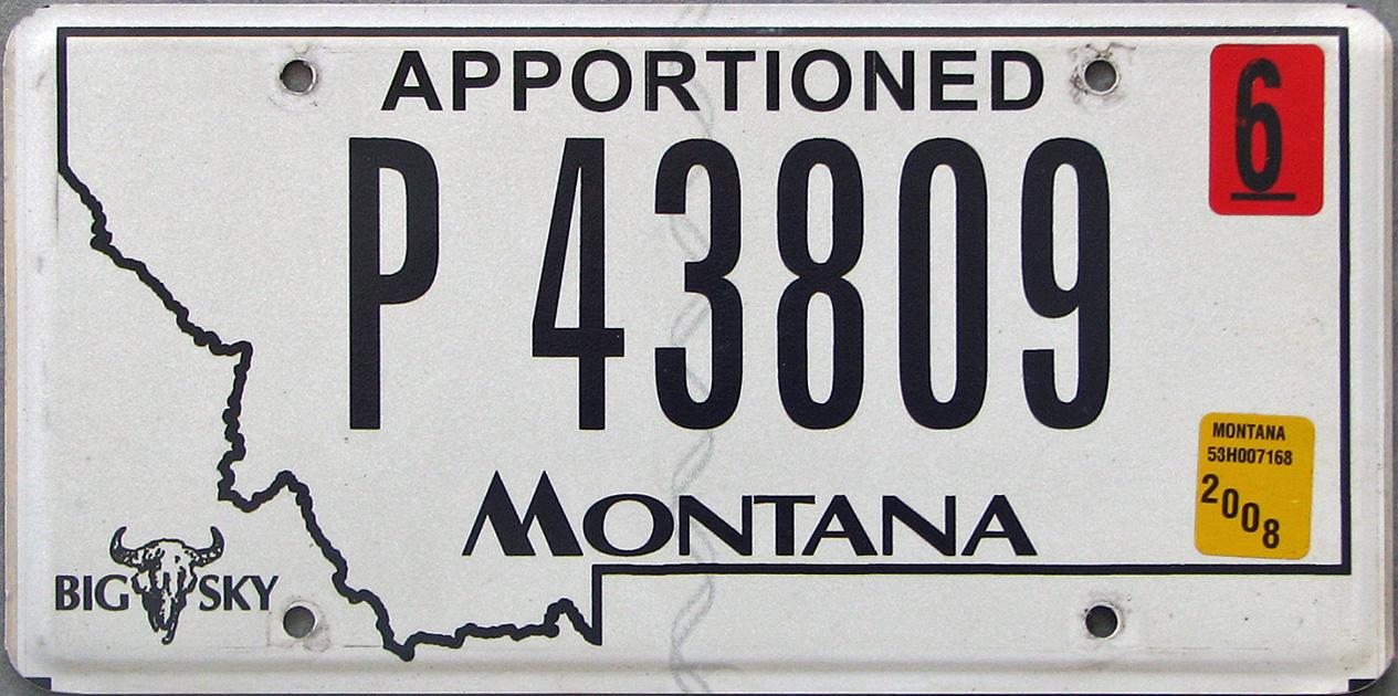 License Plate 9966
