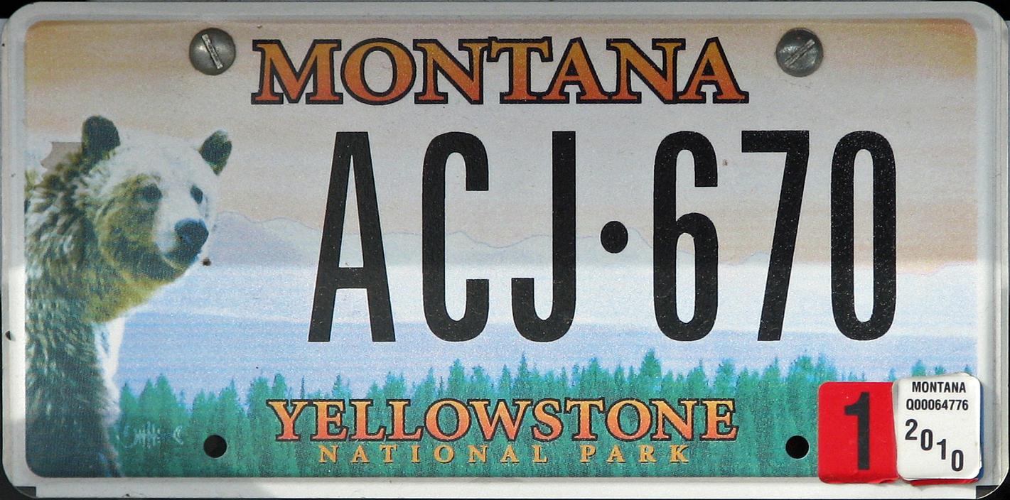 License Plate 9797