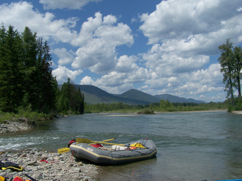 Flathead National Forest