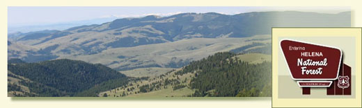 Helena National Forest